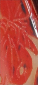 charles schneider vase aux papillons partie haute_3