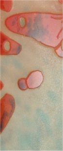 charles schneider vase aux papillons partie centrale_6