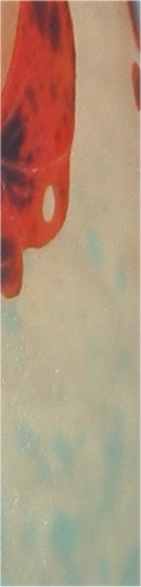 charles schneider vase aux papillons partie centrale_2