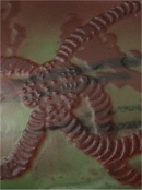 Emile Galle Etoile details_3